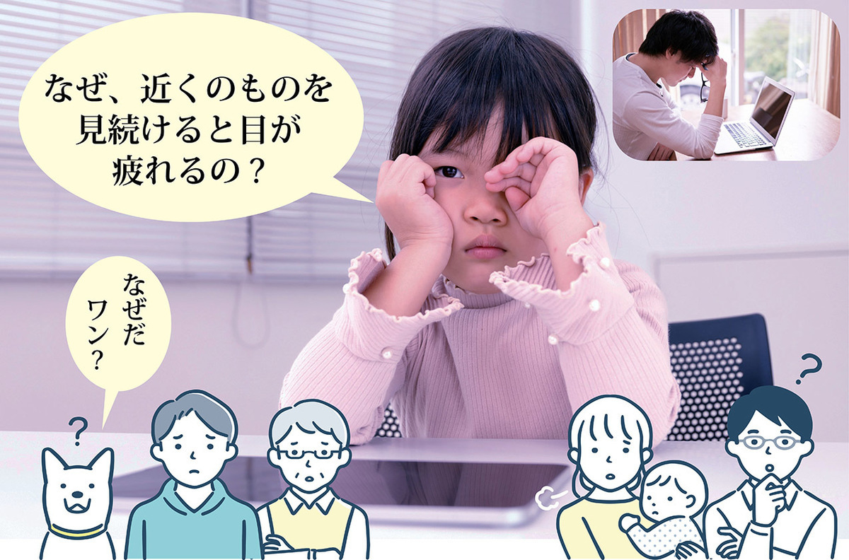 なぜ、近くのものを見ると目が疲れるのか?