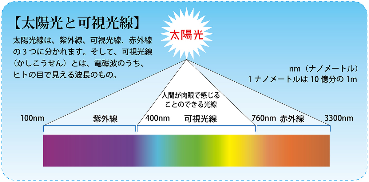 なぜ、近くのものを見ると目が疲れるのか?