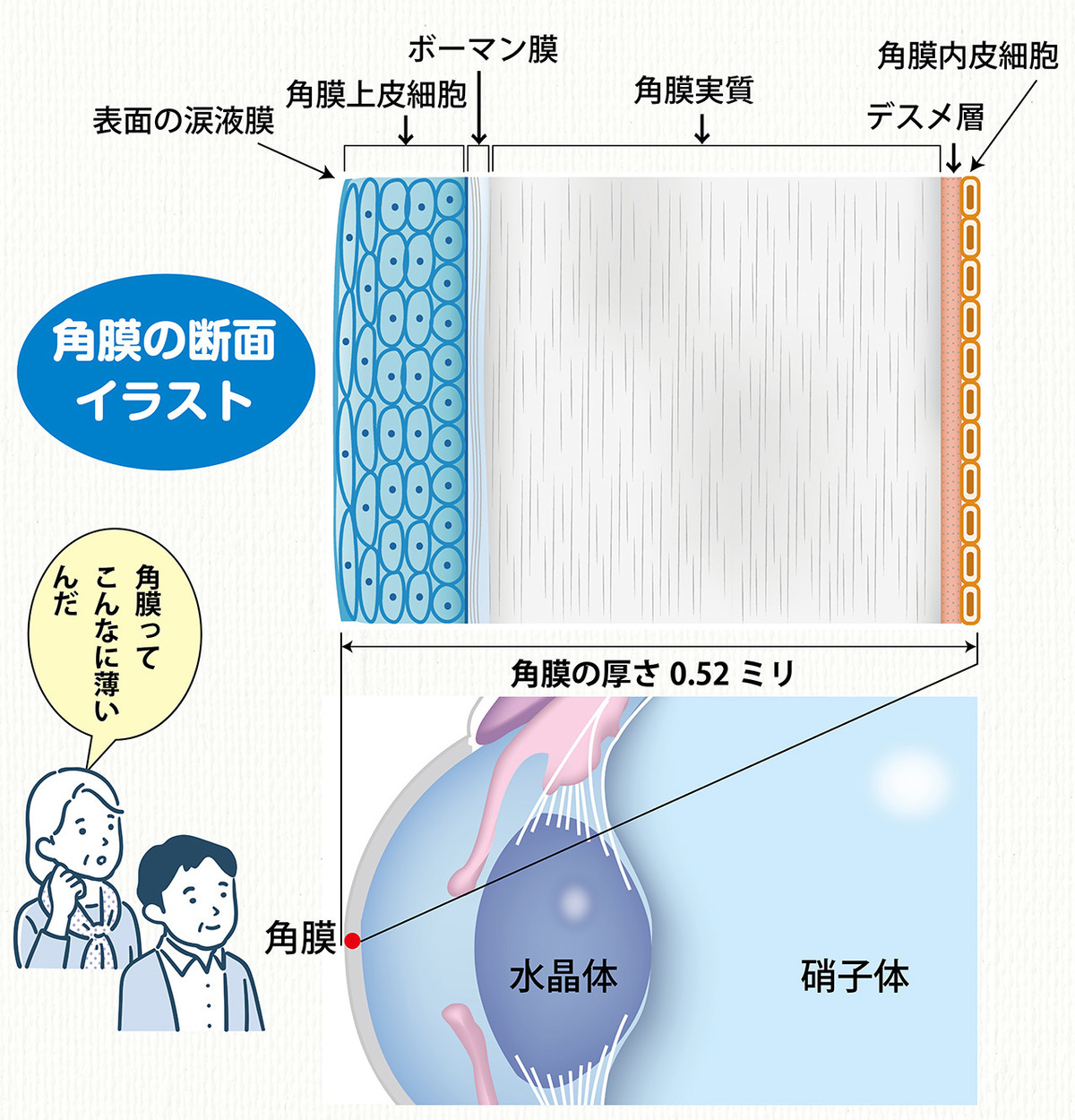 ルーズなコンタクト使用で、目に微生物“アメーバ”が繁殖!!